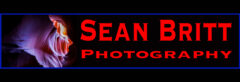 Shop Sean Britt Photography